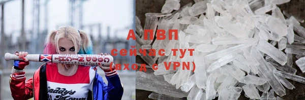 PSILOCYBIN Верхний Тагил