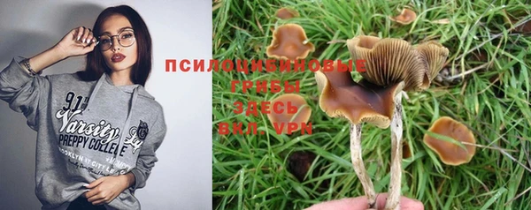 PSILOCYBIN Верхний Тагил