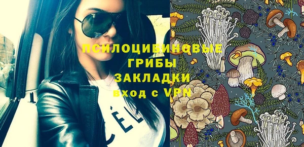 прущая мука Бородино